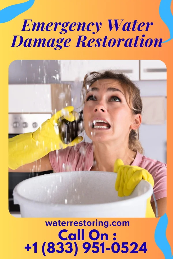 Emergency Water Damage Restoration in Havre de Grace, MD