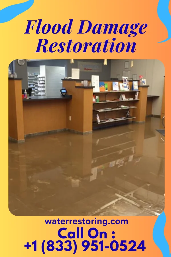 Flood Damage Restoration in Havre de Grace, MD