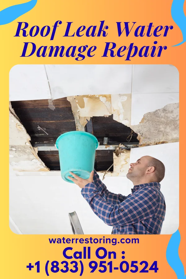 Roof Leak Water Damage Repair in Havre de Grace, MD