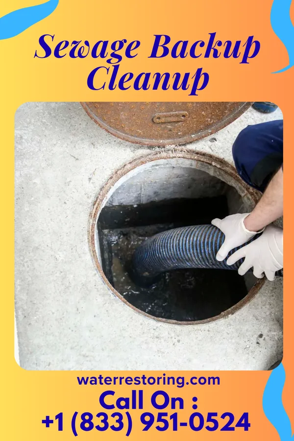 Sewage Backup Cleanup in Havre de Grace, MD