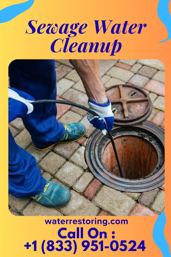 Sewage Water Cleanup in Havre de Grace, MD