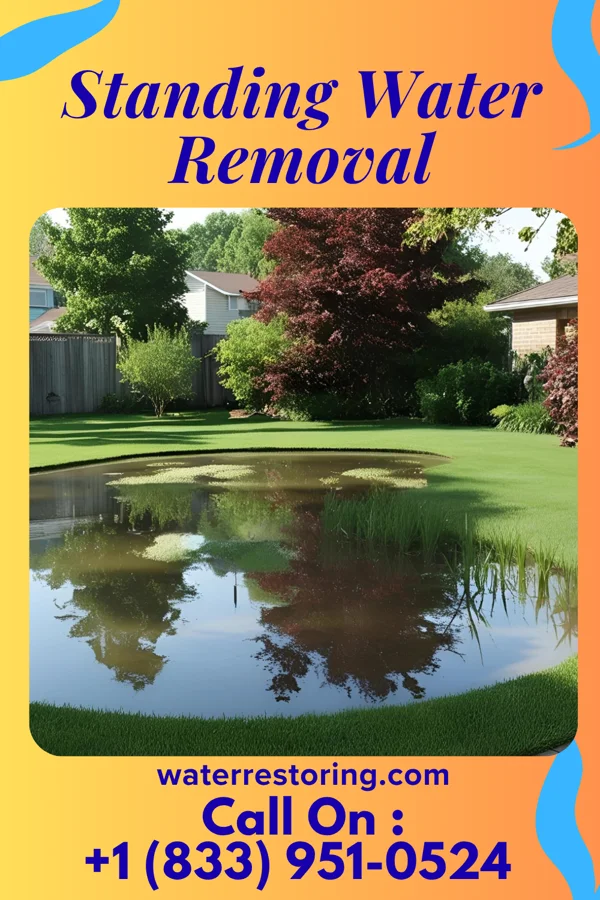 Standing Water Removal in Havre de Grace, MD